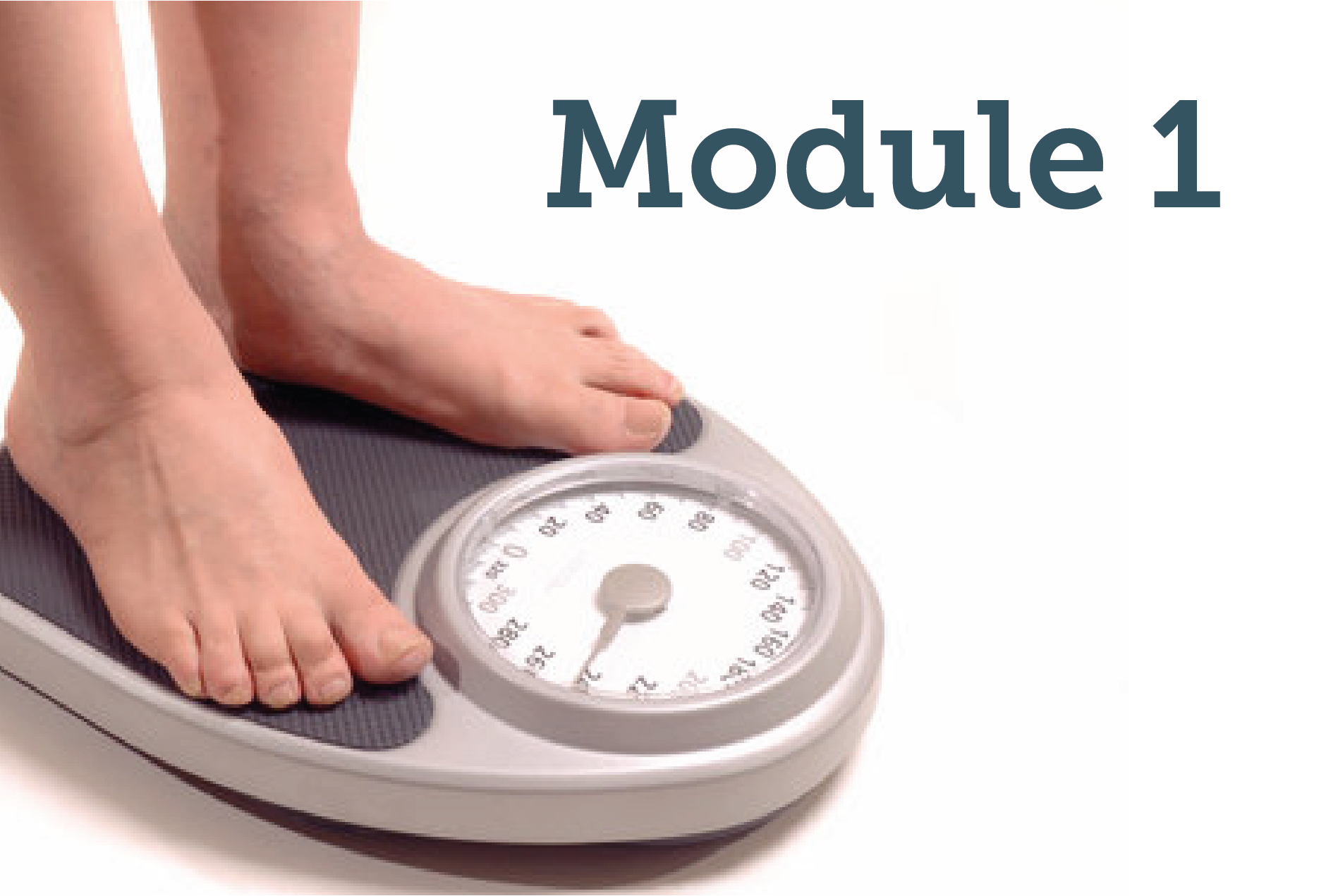 Supporting the care of people living with obesity: Module one