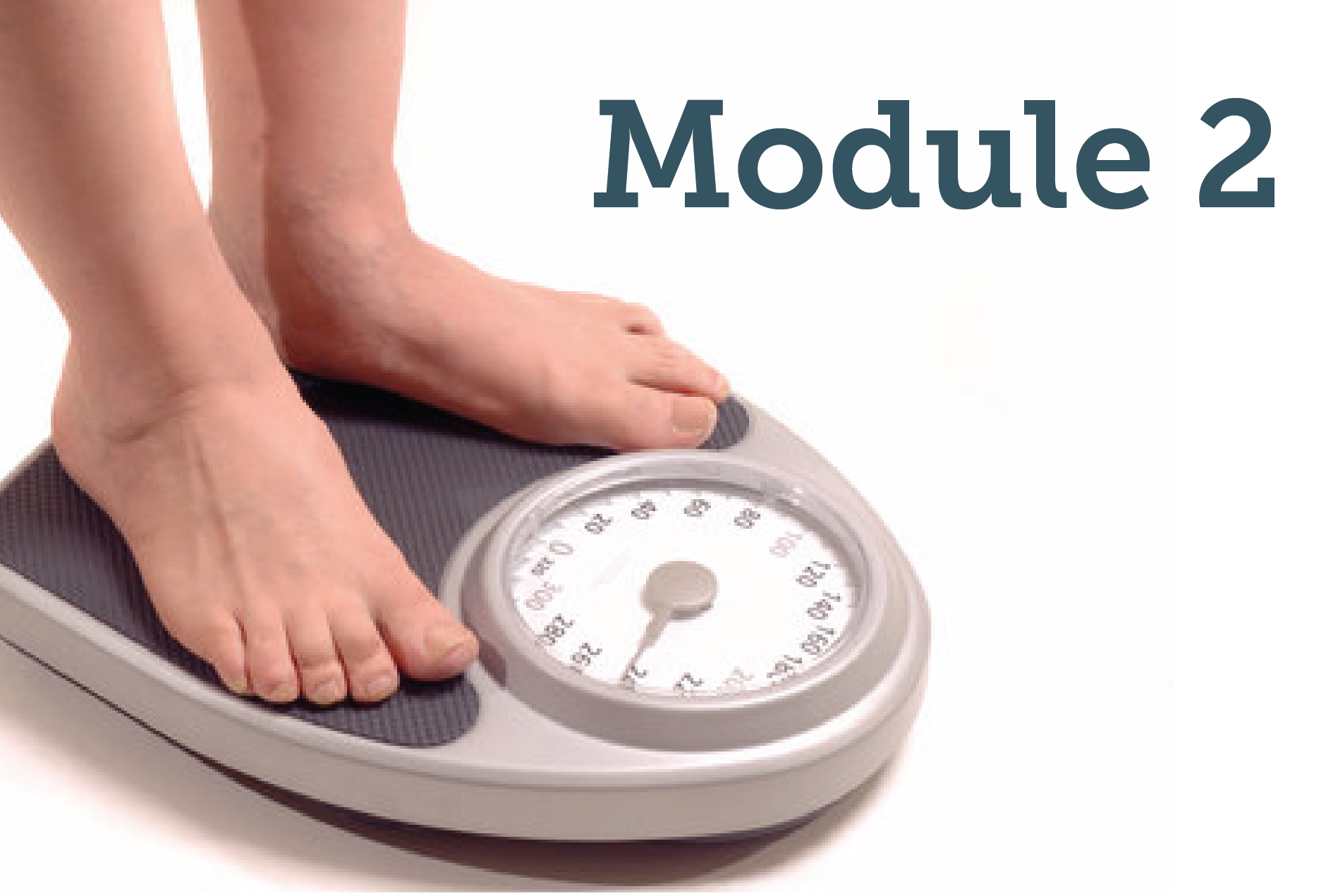 Supporting the care of people living with obesity: Module two